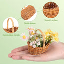 Set of 2 Mini Wicker Baskets with Handles for Décor